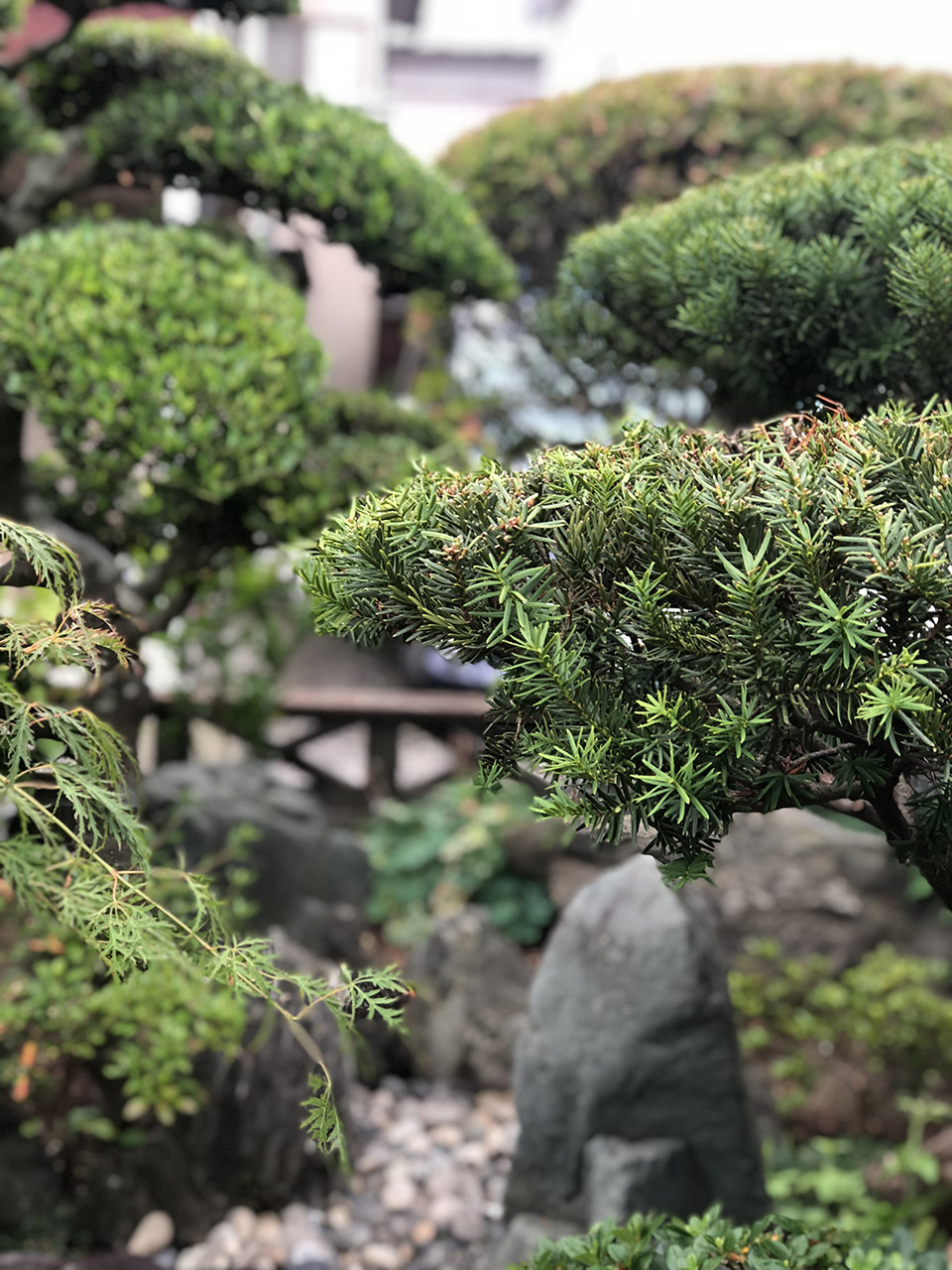 髙木造園の魅力