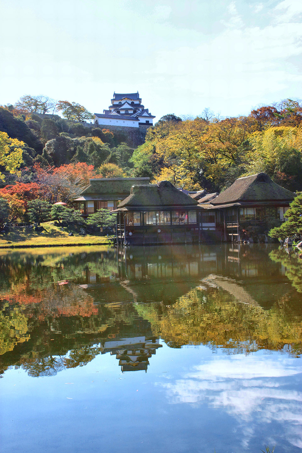 髙木造園の魅力