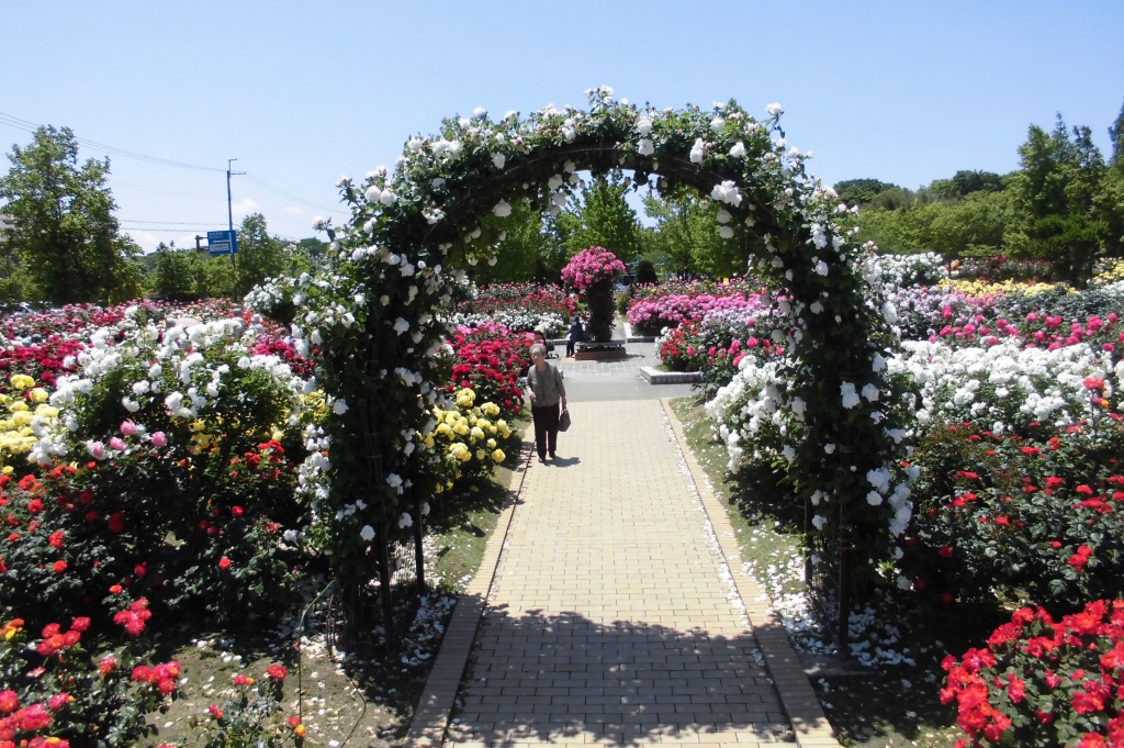庄堺公園